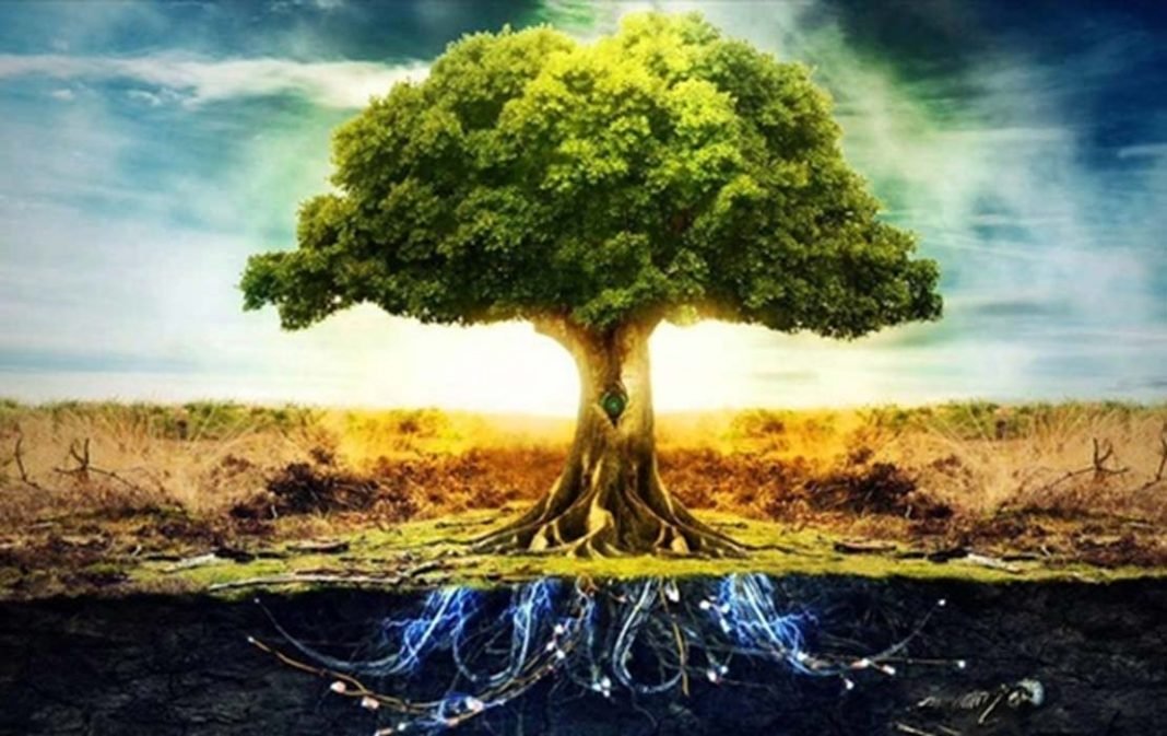 Tree of Life