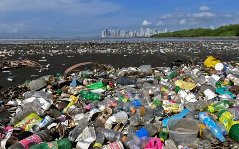 Plastic Pollution