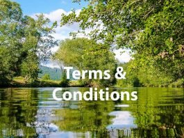 Terms and Conditions