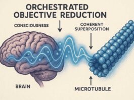 Orchestrated-Objective-Reduction-Graphic