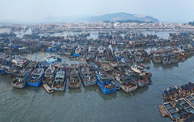 fishing-vessels-moored-in-zhangzhou_image_wen_wenyu_greenpeace