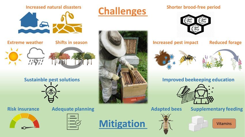 Beekeeping-under-climate-change-Environmental-challenges-for-bees-and-beekeepers