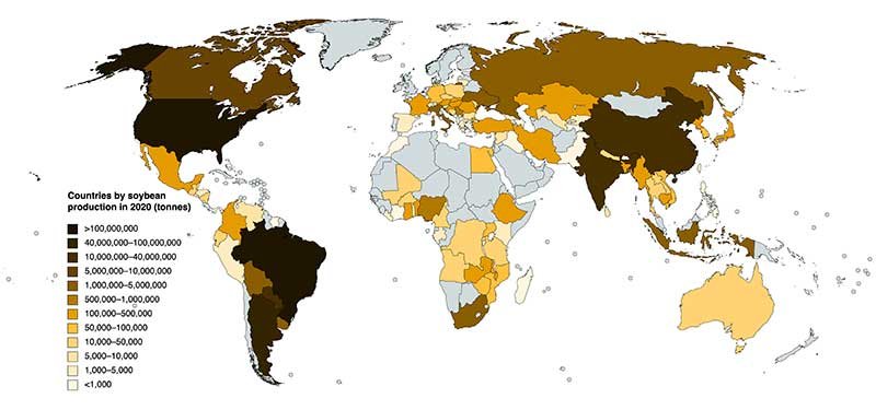 graphic_Countries_by_soybean_production_in_2020_wiki
