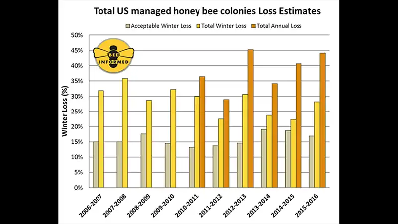 us_bee_loss_causes_graphic