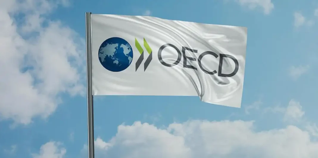 oecd_flag_photo_aleksandr_atkishkin
