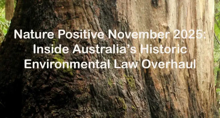 eucalypt-bark-nature-positive